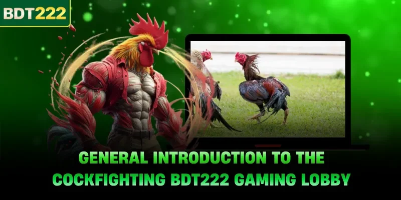 General introduction to the cockfighting BDT222 gaming lobby